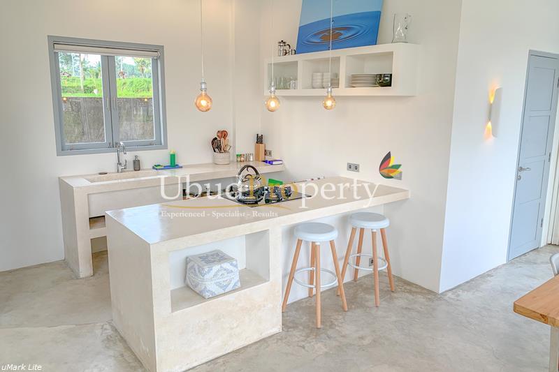 Ubud Property Villa For Lease in Ubud Bali